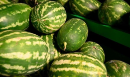 大连爆料吃瓜事件视频最新,吃瓜事件视频揭秘，真相背后引热议